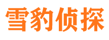 藁城市婚外情调查